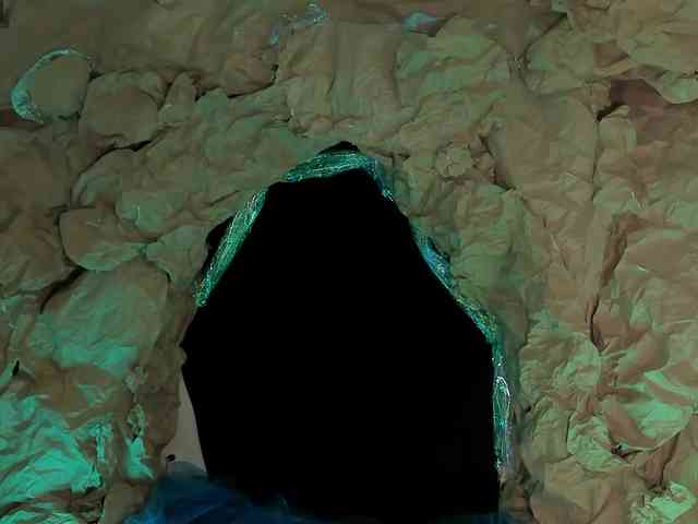 ElizabethBennet webcam