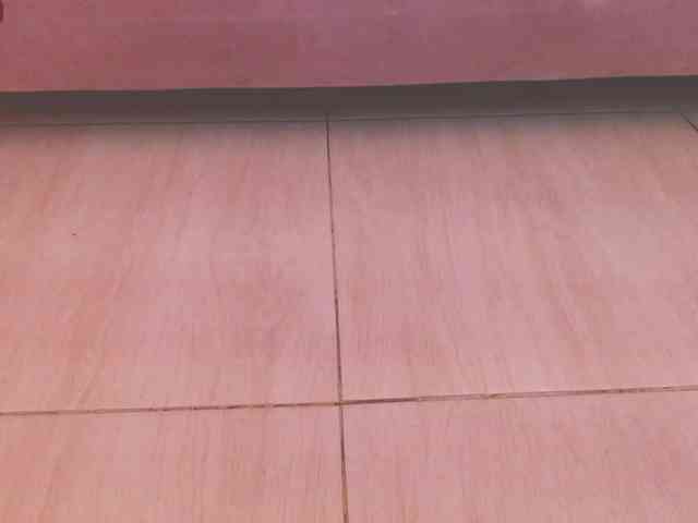 Lola-wish webcam
