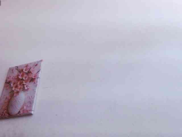Lola-wish webcam