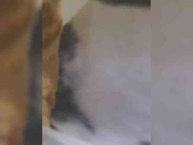 Angel-VICT0RY webcam