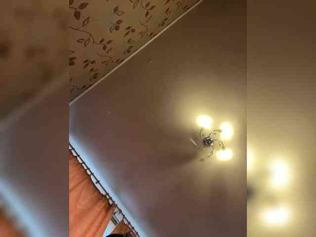 pietstop webcam
