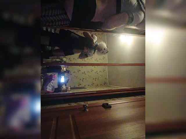 pietstop webcam