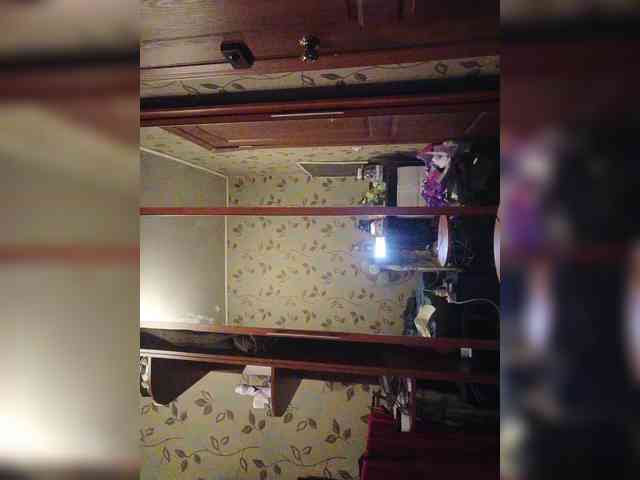 pietstop webcam