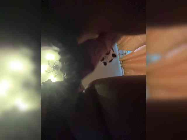 pietstop webcam
