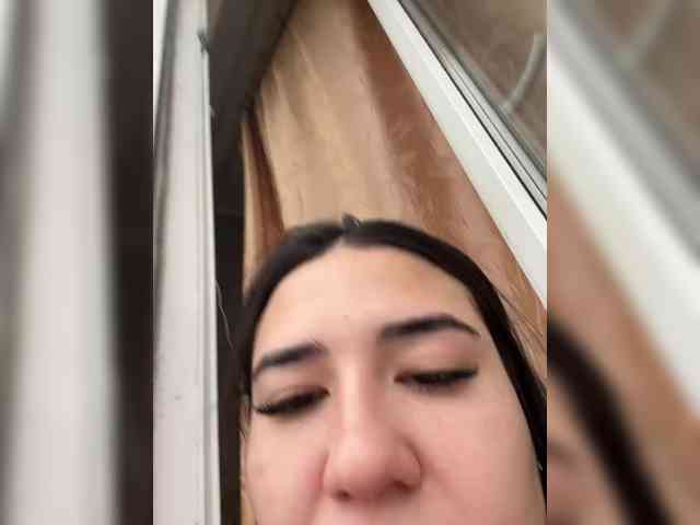 pietstop webcam