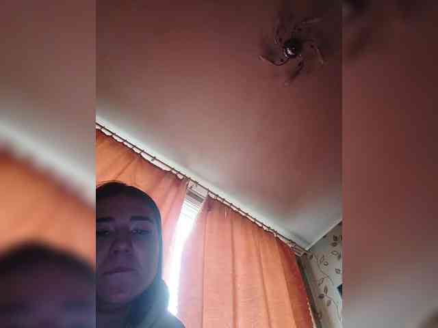 pietstop webcam