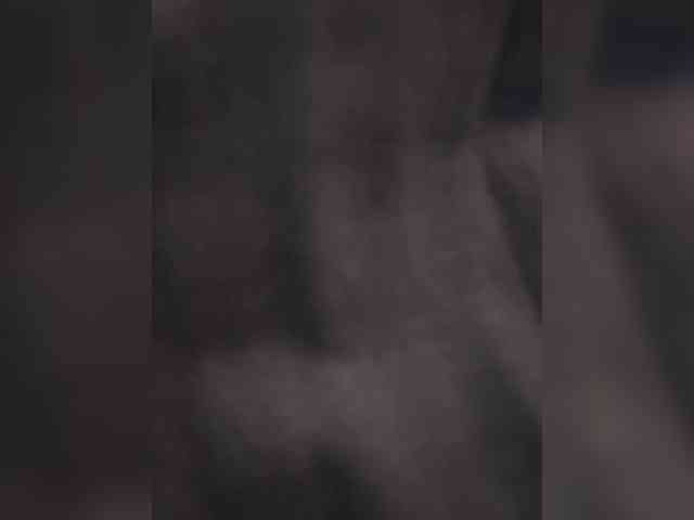 pietstop webcam