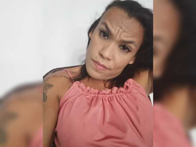 Paloma01 webcam