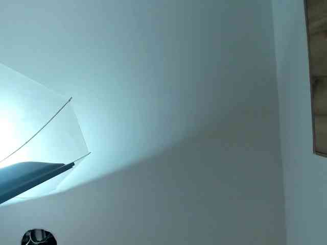 Samantha-Claus webcam