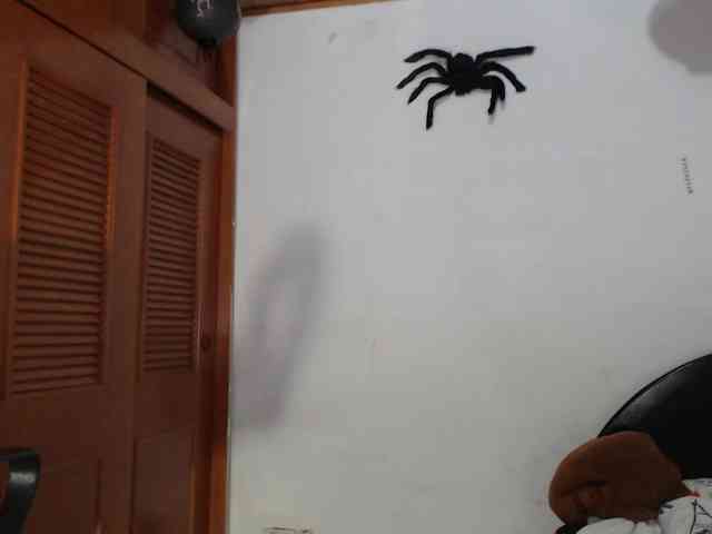 hilari18 webcam
