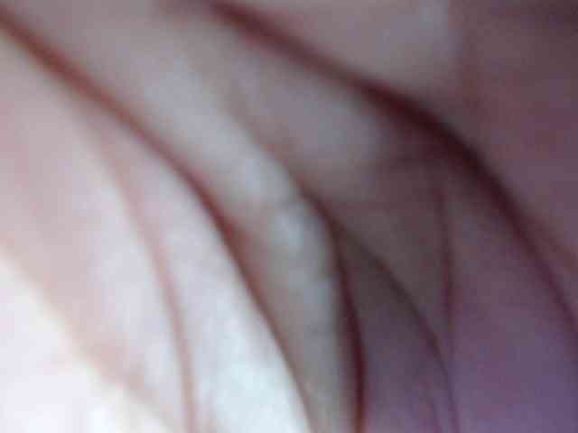 hilari18 webcam