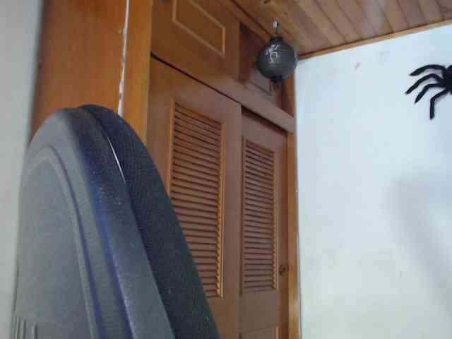 hilari18 webcam