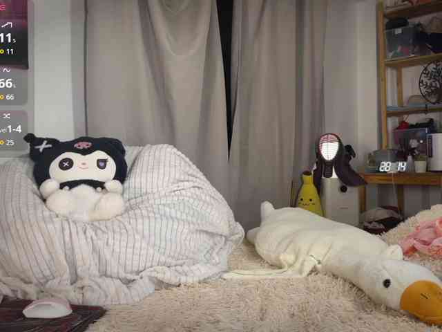 AliceSlim webcam