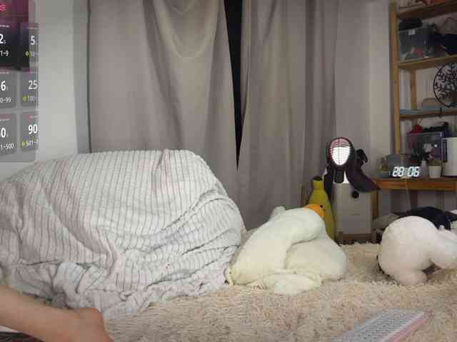 AliceSlim webcam