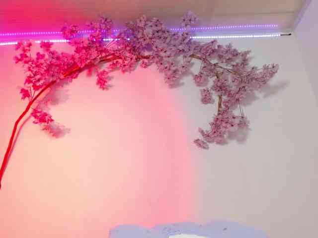 Lindseyferrer webcam