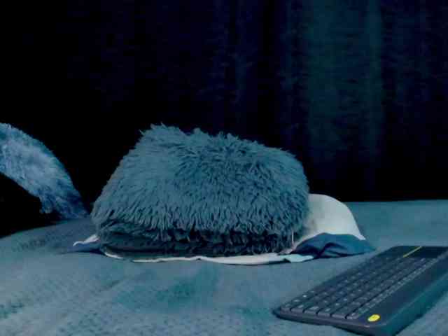 Evah-lee webcam