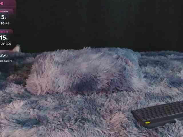 Evah-lee webcam
