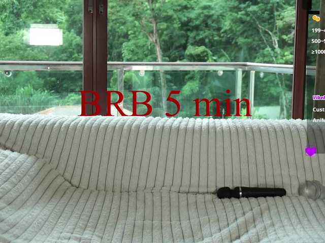 Leinbone webcam