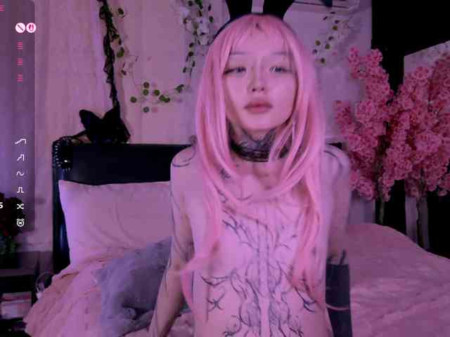 Leinbone webcam