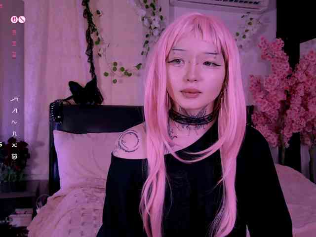 Leinbone webcam