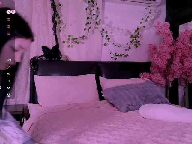 Leinbone webcam