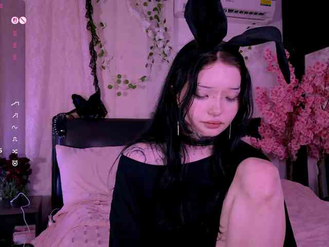 Leinbone webcam