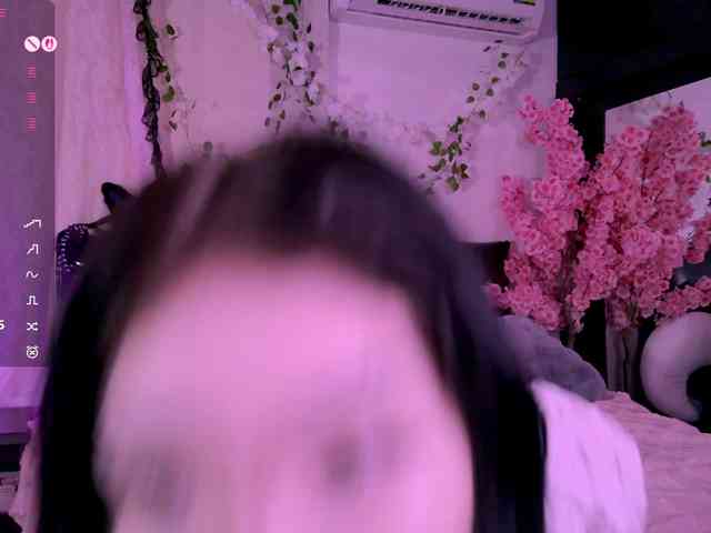 Leinbone webcam