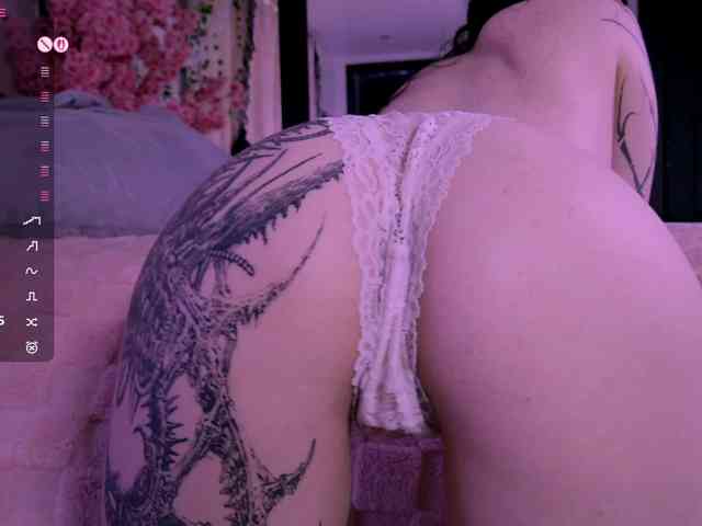 Leinbone webcam