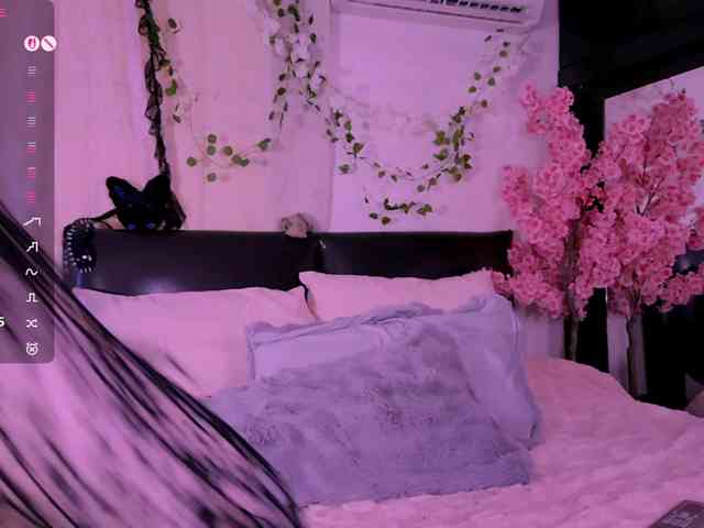 Leinbone webcam