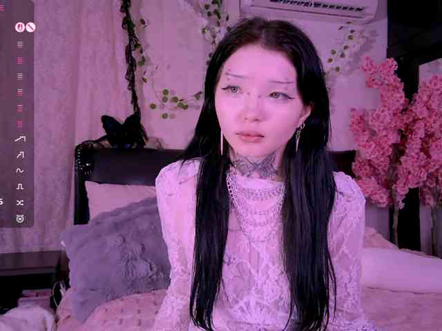 Leinbone webcam
