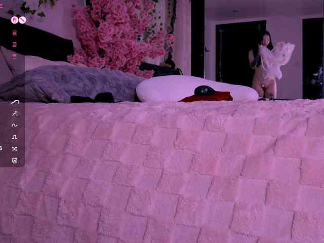 Leinbone webcam
