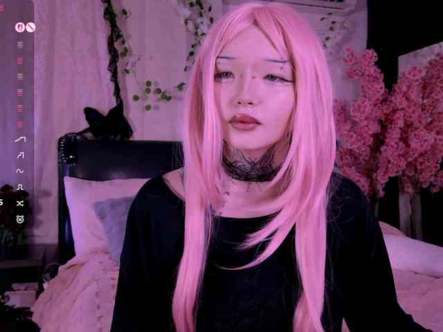Leinbone webcam