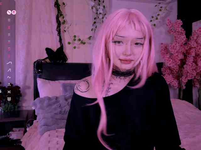 Leinbone webcam