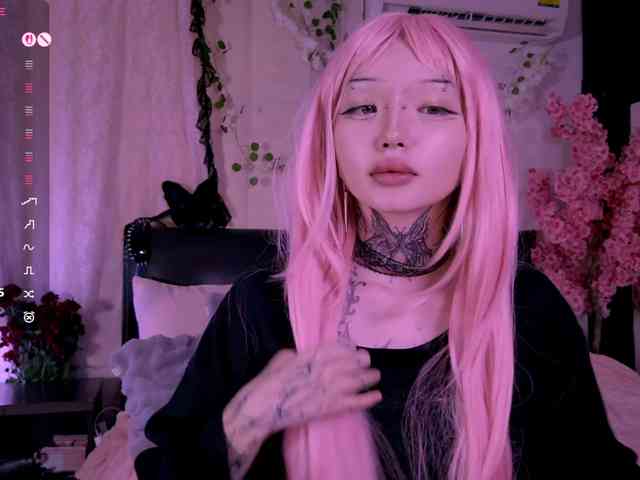 Leinbone webcam