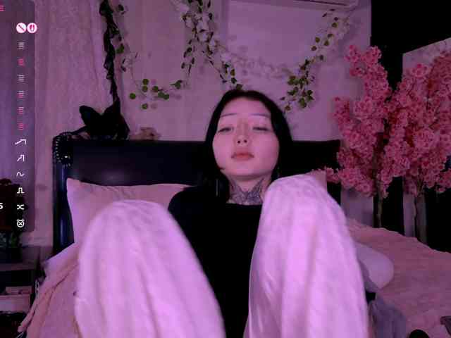 Leinbone webcam