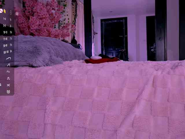 Leinbone webcam