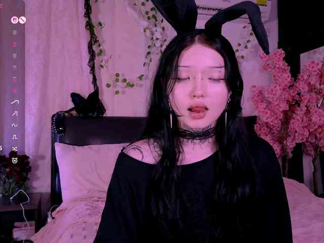 Leinbone webcam
