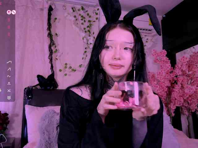 Leinbone webcam