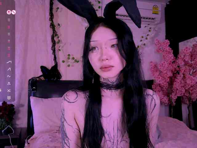 Leinbone webcam