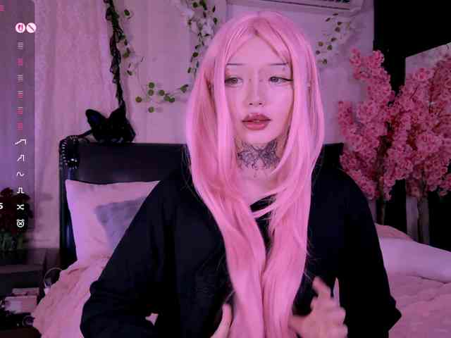 Leinbone webcam