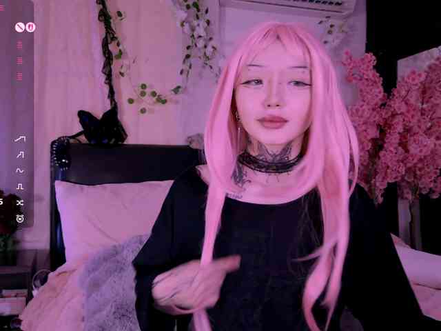 Leinbone webcam
