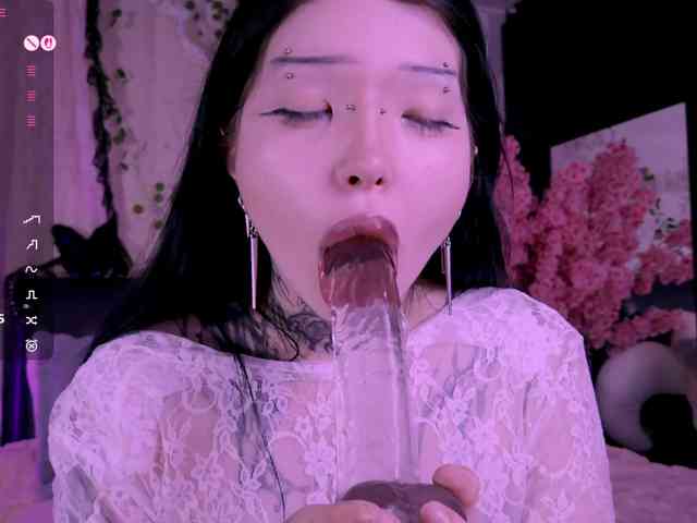 Leinbone webcam