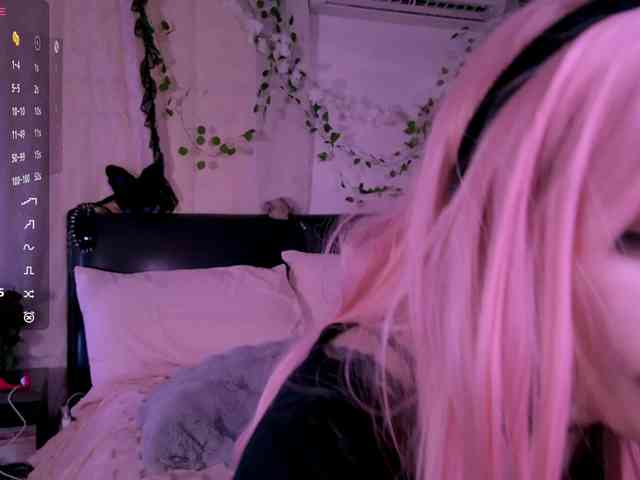 Leinbone webcam