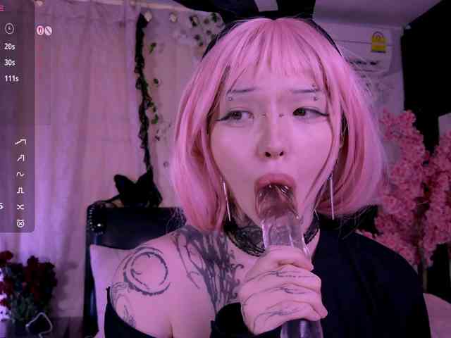 Leinbone webcam