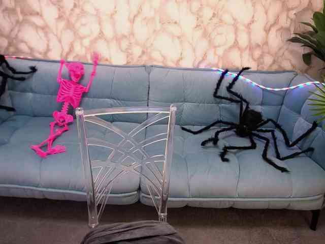 StarryDoll webcam