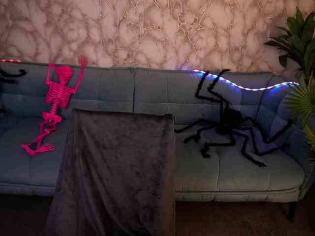 StarryDoll webcam