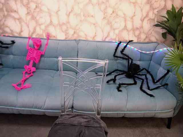 StarryDoll webcam