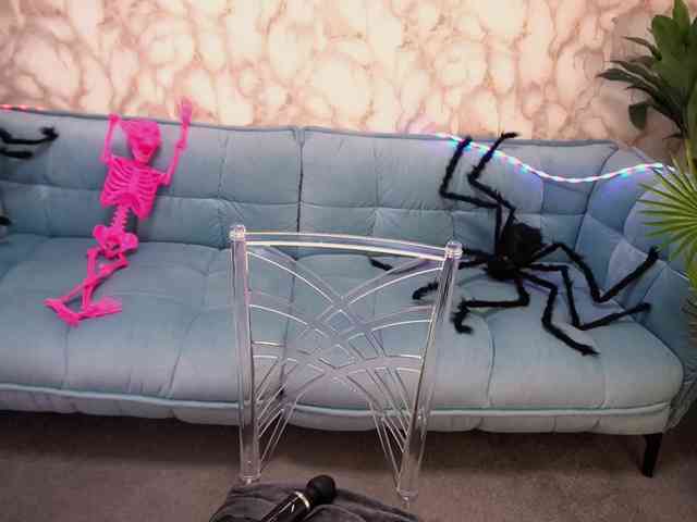 StarryDoll webcam