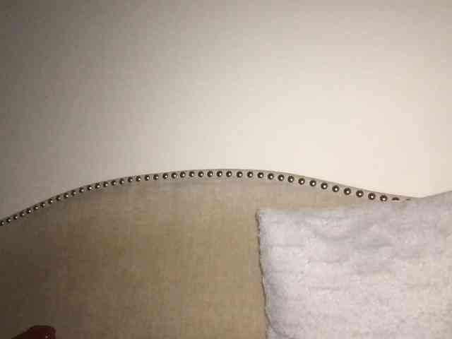 Xoxcat webcam