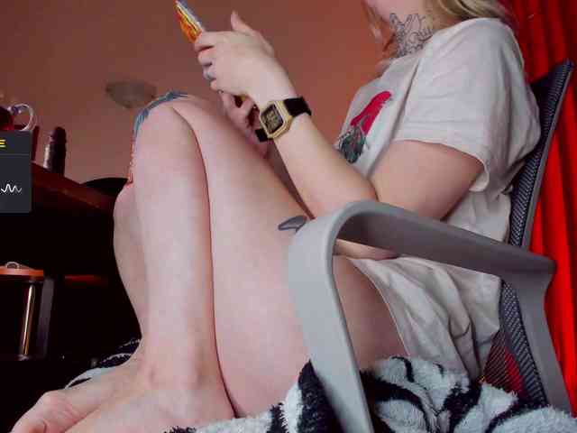 TenderLionett webcam